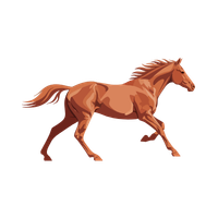 Horse Racing